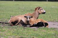 IMG_5097-11.jpg