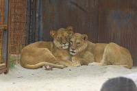 IMG_8397-11.jpg