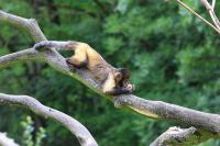 IMG_8495-11.jpg
