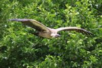 IMG_8823-11.jpg