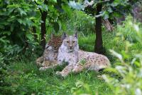 IMG_8963-11.jpg