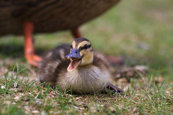 IMG_6185-11.jpg