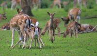IMG_6631-11.jpg