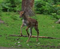 IMG_6671-11.jpg