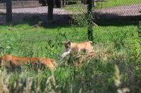 IMG_7022-11.jpg
