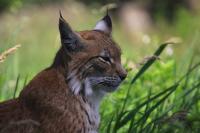 IMG_7082-11.jpg