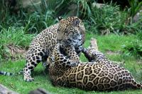IMG_7402-11.jpg