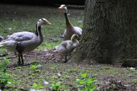 IMG_7482-11.jpg