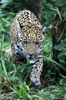 IMG_7658-11.jpg
