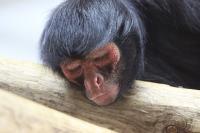 IMG_8312-11.jpg