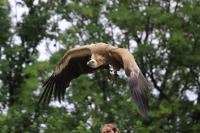 IMG_8364-11.jpg