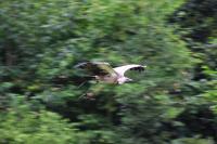 IMG_8638-11.jpg