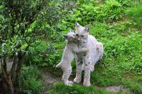 IMG_8824-11.jpg