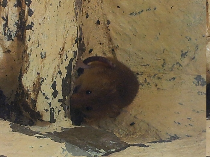 2011-08-27 14.31.011.jpg