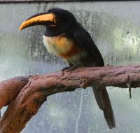 IMG_0547-11.jpg