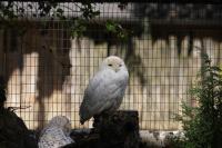 IMG_0962-11.jpg