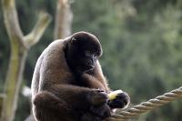 IMG_4060-11.jpg