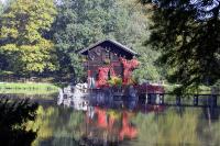 Biotopwildpark Anholter Schweiz Oktober 2011 