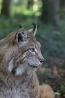 IMG_4743-11.jpg