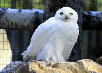 IMG_4520-11.jpg