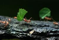 IMG_5275-1.jpg