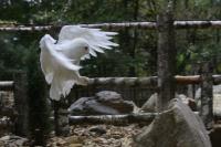 IMG_7501-11.jpg