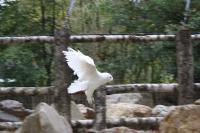 IMG_7516-11.jpg