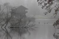 IMG_5685-11.jpg