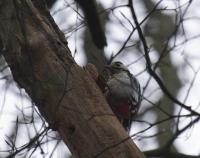 IMG_5771-11.jpg