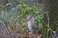 IMG_5787-11.jpg