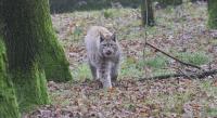IMG_5792-11.jpg