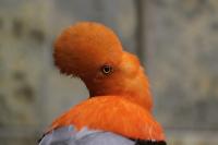 Wuppertaler Zoo Dezember 2011