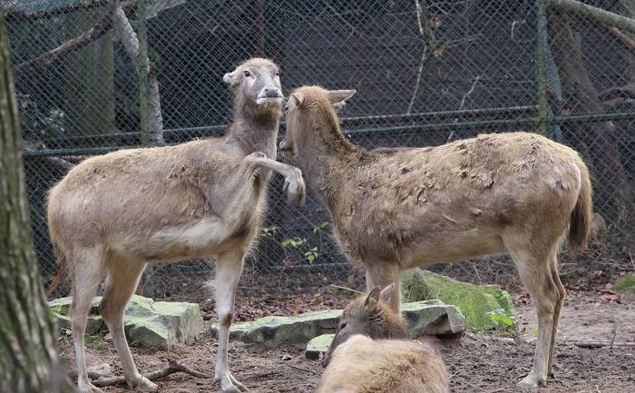 IMG_5209-11.jpg