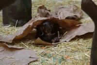 IMG_1089-11.jpg