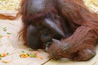 IMG_1107-11.jpg