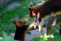 IMG_2124-1.jpg