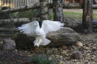 IMG_1578-11.jpg