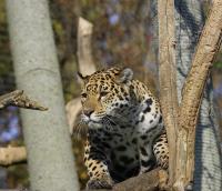 IMG_1816-11.jpg