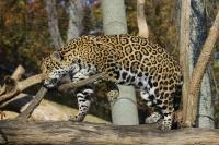 IMG_1820-11.jpg