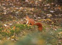 IMG_2671-11.jpg