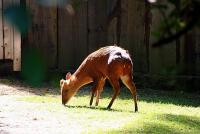 IMG_2615-1.jpg