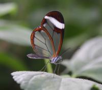 IMG_2890-11.jpg