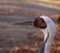 IMG_3028-11.jpg