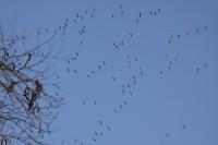 IMG_3182-11.jpg