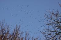 IMG_3186-11.jpg