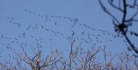 IMG_3196-11.jpg