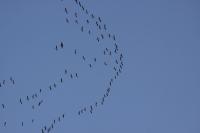 IMG_3206-11.jpg