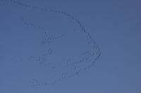 IMG_3208-11.jpg