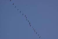 IMG_3213-11.jpg
