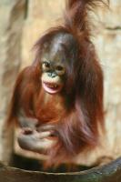 IMG_2732-1.jpg